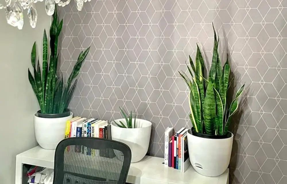 Revitalize Your Home Office with Simple Shapes Wallcovering Solutions