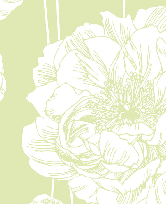 Close-up of elegant peony floral wallpaper in soft green and white, perfect for nature-inspired and floral wallpaper collections.