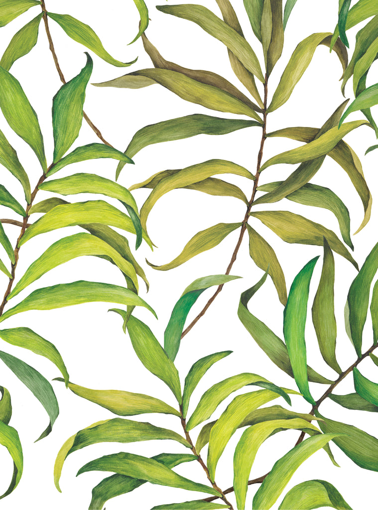 Tropical Leaves wallpaper featuring a lush, vibrant pattern of various green leafy tropical plants for a fresh nature-inspired decor.