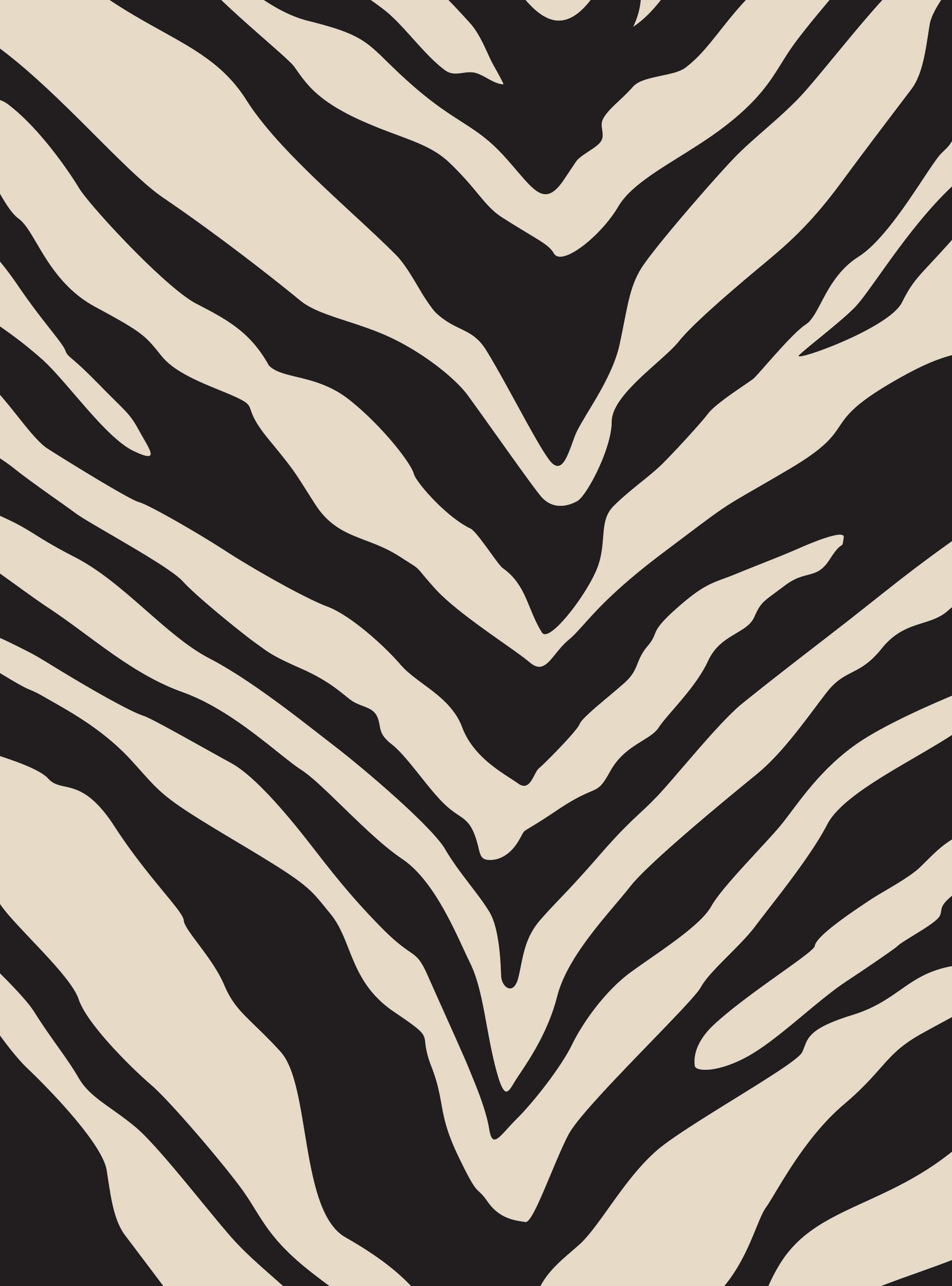Zebra Simple Background Zebra Print Black And White Background